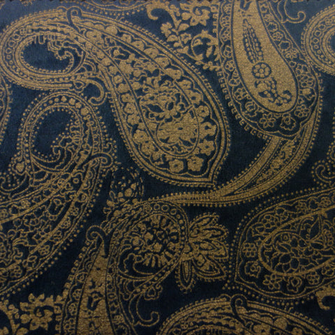 paisley pattern printed velvet